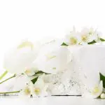 pot-musc-tahara-jasmin-musc-tahara-aromatise