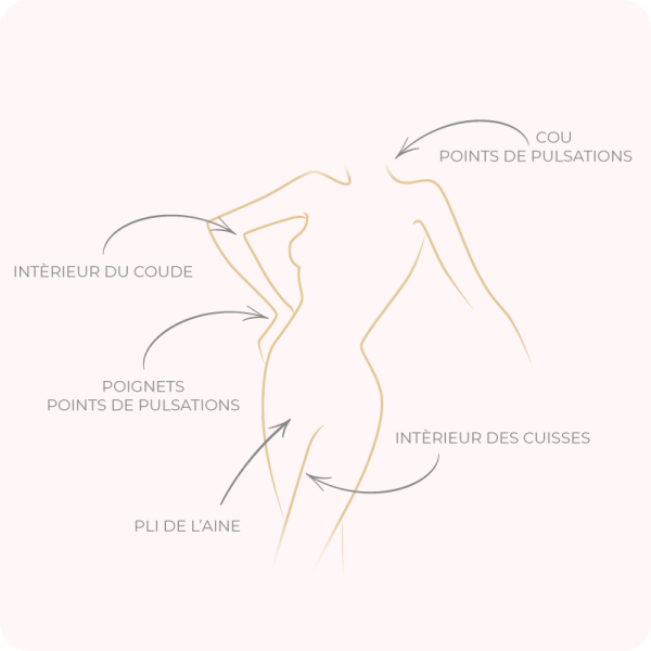 infographie-utilisation-musc-tahara-aromatise